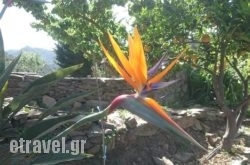 Botanical Park & Gardens of Crete Restaurant in Drama City, Drama, Macedonia