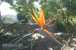 Botanical Park & Gardens of Crete Restaurant_food_in_Restaurant___Keramies