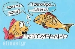 To Tsipouradiko by RIF in Thessaloniki City, Thessaloniki, Macedonia