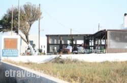 Captain Dimitris in Perithia, Corfu, Ionian Islands