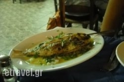 Captain Nikolas in Toroni, Halkidiki, Macedonia