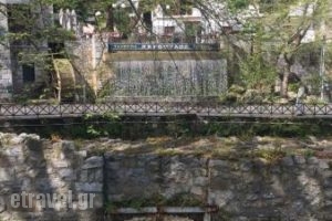 Neromilos_food_in_Restaurant___Lev?dhia