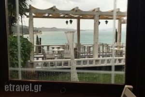 Mythos Cafe-Bar-Restaurant_food_in_Restaurant___Laganas