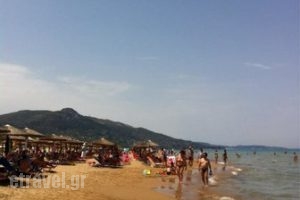 Casa Playa_food_in_Restaurant___Zakinthos