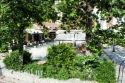 Taverna Iolkos in Thessaloniki City, Thessaloniki, Macedonia