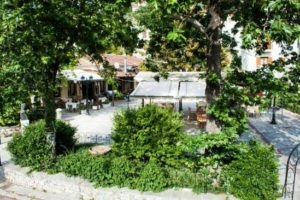 Taverna Iolkos_food_in_Restaurant___Anakasia