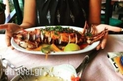 Akti in Chortata, Lefkada, Ionian Islands