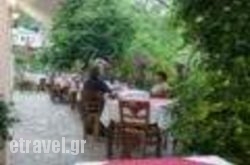 Restaurant Klimataria in Hydra Chora, Hydra, Piraeus Islands - Trizonia