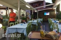 Tzitzikas in Achladies, Skiathos, Sporades Islands