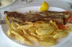 Epikouros Taverna-Restaurant in Athens, Attica, Central Greece