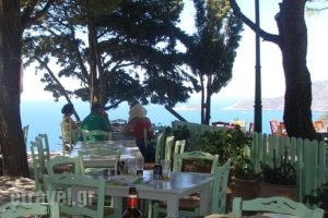 Cafe-Bar-Restaurant Panselinos_food_in_Restaurant___