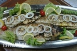 Glaros Seafood Restaurant in Ammouliani, Halkidiki, Macedonia