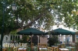 Familia in Athens, Attica, Central Greece