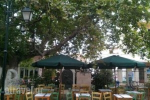 Familia_food_in_Restaurant___