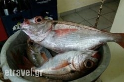 Captain Fish Tavern in Athens, Attica, Central Greece