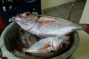 Captain Fish Tavern_food_in_Restaurant___