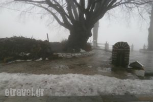 Hani Zisi_food_in_Restaurant___