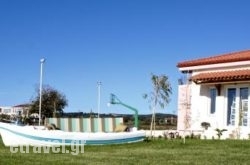 Elaionas tis Marinas in Thessaloniki City, Thessaloniki, Macedonia