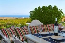 Aroma Avlis – Food & Wine in Athens, Attica, Central Greece