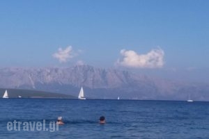 NV Beach Bar Restaurant_food_in_Caf? and Bar___