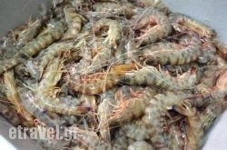 To Tempelxaneio in Athens, Attica, Central Greece