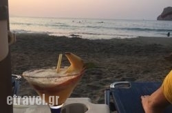 Caretta Caretta in Agia Marina , Chania, Crete