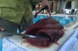 Crazy Cow Wine Bar Restaurant in Sidari, Corfu, Ionian Islands