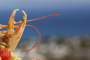 SevenSenses Gastronomy_food_in_Restaurant___Paros