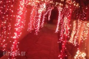 Da Nonna_food_in_Restaurant___Neo Psichiko