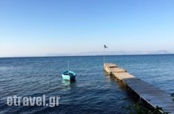 Spiros Karidis in Corfu Chora, Corfu, Ionian Islands