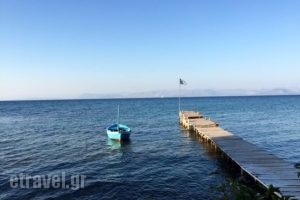 Spiros Karidis_food_in_Restaurant___