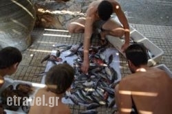 Fish Tavern Captain Fidias in Paliouri, Halkidiki, Macedonia