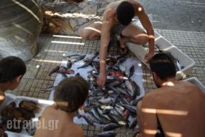 Fish Tavern Captain Fidias_food_in_Restaurant___Kissamos