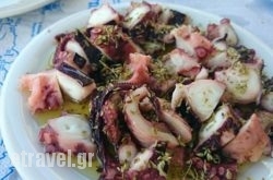 Akri Ouzo Taverna in Katapola, Amorgos, Cyclades Islands