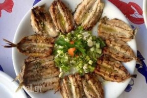 Vlassis Seafood Restaurant_food_in_Restaurant___Glifada