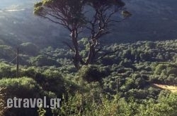 Kamares Cafe Restaurant in Larisa City, Larisa, Thessaly