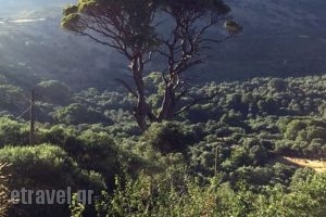 Kamares Cafe Restaurant_food_in_Restaurant___Elos