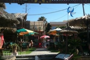 Dolphin Beach Bar_food_in_Caf? and Bar___Malia