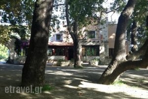 Drakiana Taverna_food_in_Restaurant___Platanias