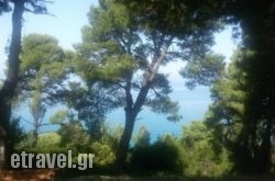 Dryades in Paros Chora, Paros, Cyclades Islands