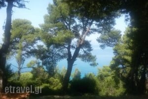 Dryades_food_in_Restaurant___