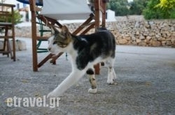 Eisodos in Platanias, Chania, Crete