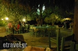 Eleonas in Archanes, Heraklion, Crete