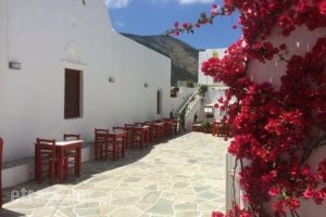 Cayenne Restaurant_food_in_Restaurant___Apollonia