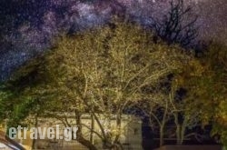 Platanos cafe bar in Kissamos, Chania, Crete