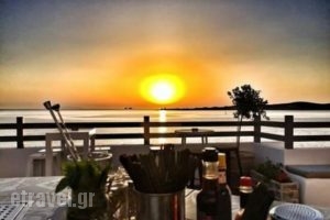 Bebop Cafe Bar_food_in_Restaurant___Paros